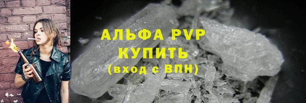 СК Горно-Алтайск