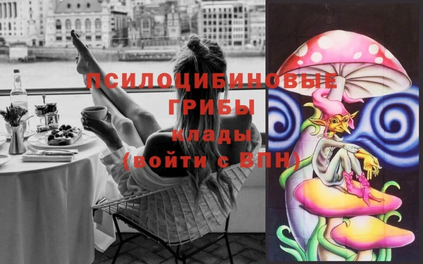 твердый Горняк