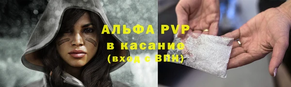СК Горно-Алтайск