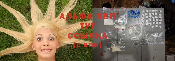 твердый Горняк