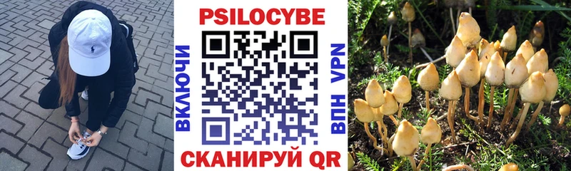 Галлюциногенные грибы ЛСД  купить наркотик  Изобильный 