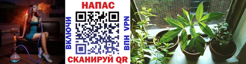 hydra ссылки  Изобильный  Бошки Шишки MAZAR 